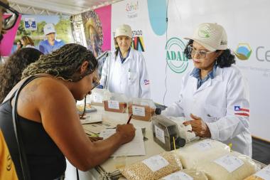 Alagoinhas recebe SEALBA 2026 e amplia visibilidade das cadeias produtivas | SECOM