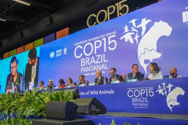 Bahia apresenta proposta sobre aves silvestres na COP15 e avança na integração entre saúde e meio ambiente | SECOM