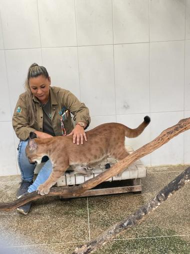 Cuidado, dedicação e protagonismo feminino que transformam o dia a dia no Parque Zoobotânico da Bahia | SECOM
