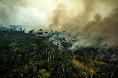 Mudanças Climáticas: dia de conscientização reforça importância da prevenção e adaptação | SECOM