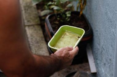 Bahia registra queda de 41% nos casos de dengue em 2026 | SECOM