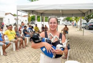 Seagri avança em convênio para controle populacional de cães no semiárido baiano | SECOM
