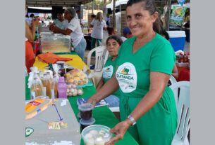 Agricultores familiares aumentam renda em 30% com programa federal 