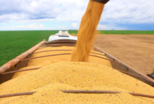 PIB do agronegócio baiano totalizou R$ 19,2 bi no 1º trimestre de 2026 | SECOM