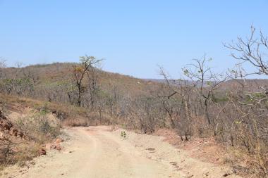 Sema abre inscrições para seminário em Juazeiro e fortalece ações de combate à desertificação na Bahia | SECOM
