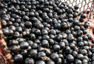 China facilita exportação de polpas e frutas congeladas brasileiras