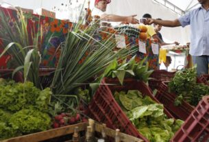 Decreto adia exigência de CNPJ para autônomos e produtores rurais