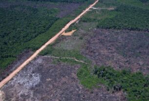 Eco Invest Brasil promove quinto leilão para financiar inovação