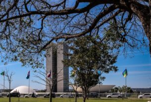 Pagamento automático de pensão alimentícia é aprovado no Senado