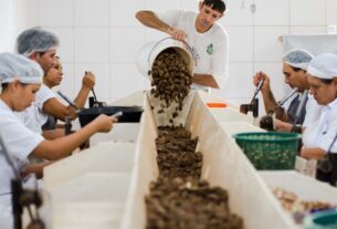 Consulta sobre bens sustentáveis no acordo Mercosul–UE acaba na quarta