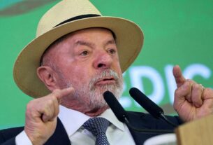 Lula quer mostrar a Trump números de queda do desmatamento na Amazônia
