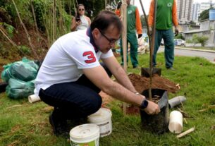 Prefeitura amplia arborização com plantio de 30 novas árvores na Vila Laura – Prefeitura Municipal de Salvador