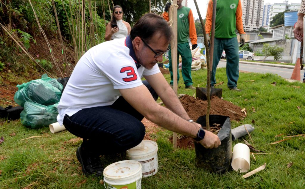 Prefeitura amplia arborização com plantio de 30 novas árvores na Vila Laura – Prefeitura Municipal de Salvador