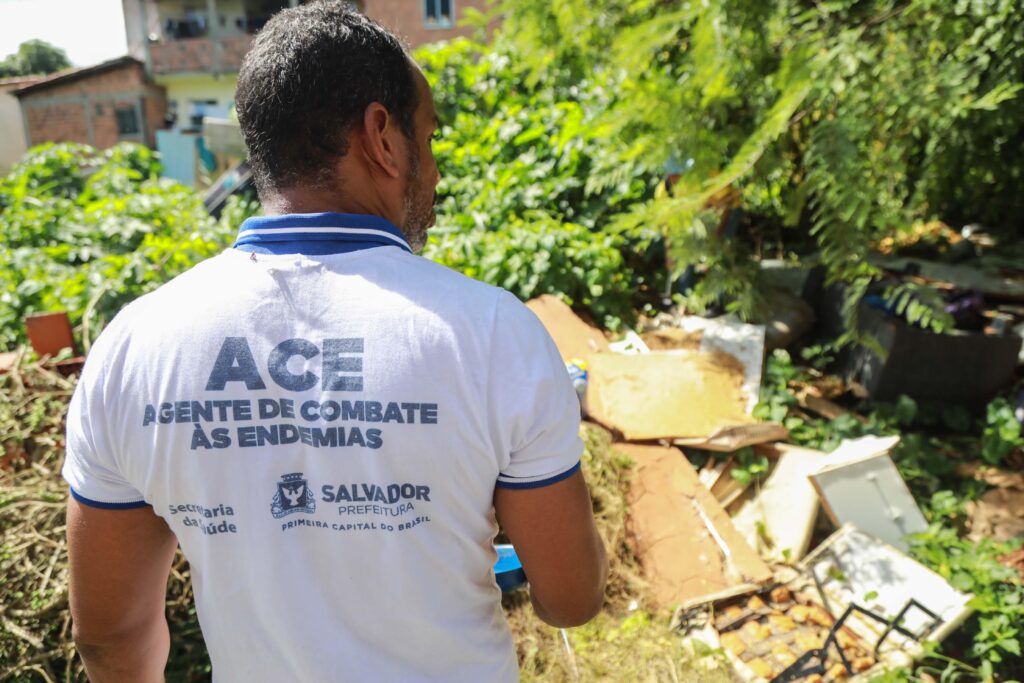 Prefeitura intensifica ações de combate ao mosquito da dengue em Salvador – Prefeitura Municipal de Salvador