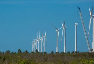Projeto mapeia caminhos para economia verde no Nordeste