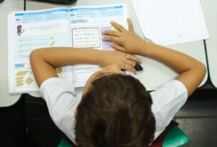 Censo Escolar: resultado preliminar está disponível no site do Inep