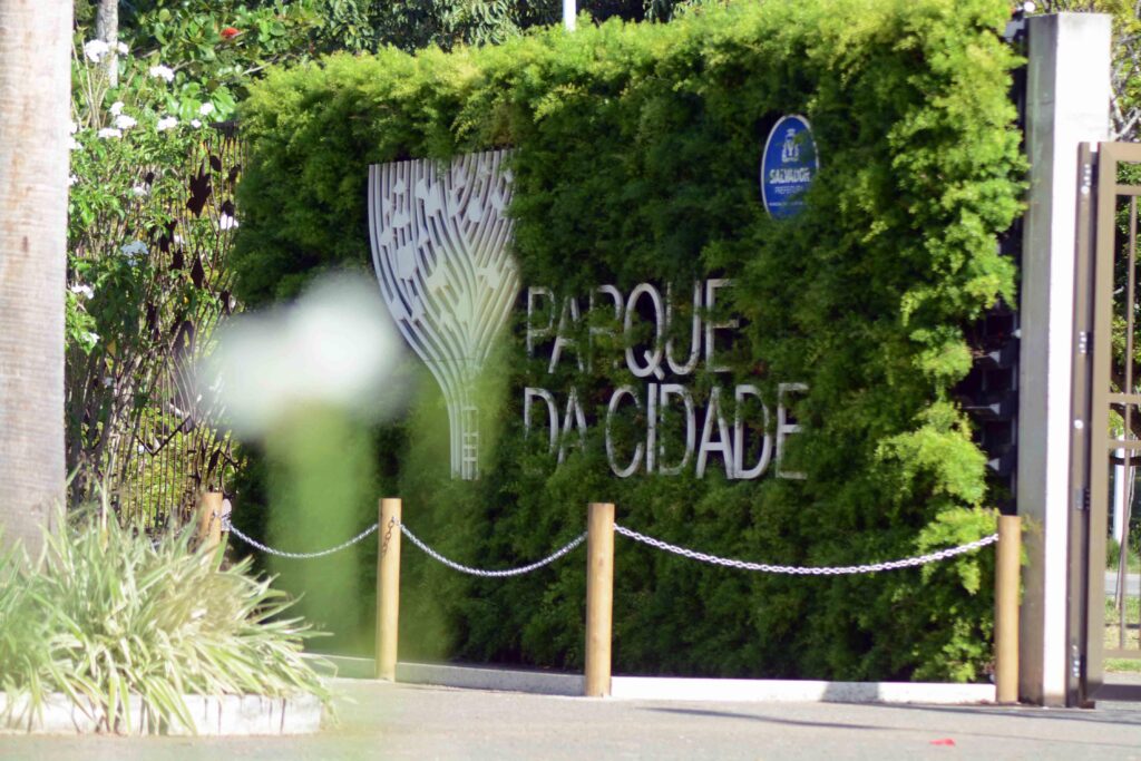 Feira de Sustentabilidade e Agroecologia celebra a Primavera neste sábado (26) no Parque da Cidade – Prefeitura Municipal de Salvador