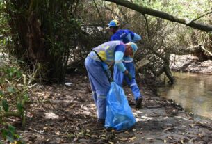 Limpeza marca início das ações da Prefeitura no Parque do Manguezal do Rio Passa Vaca – Prefeitura Municipal de Salvador