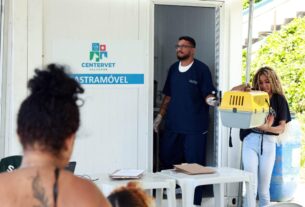 Prefeitura de Salvador lança edital para castração de cães e gatos errantes e comunitários – Prefeitura Municipal de Salvador