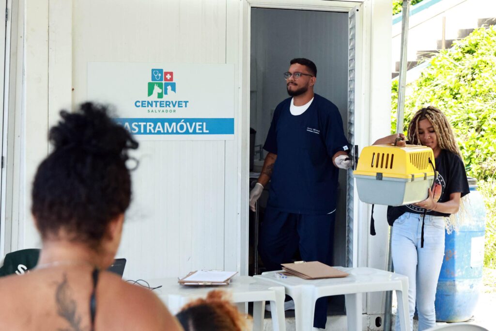 Prefeitura de Salvador lança edital para castração de cães e gatos errantes e comunitários – Prefeitura Municipal de Salvador