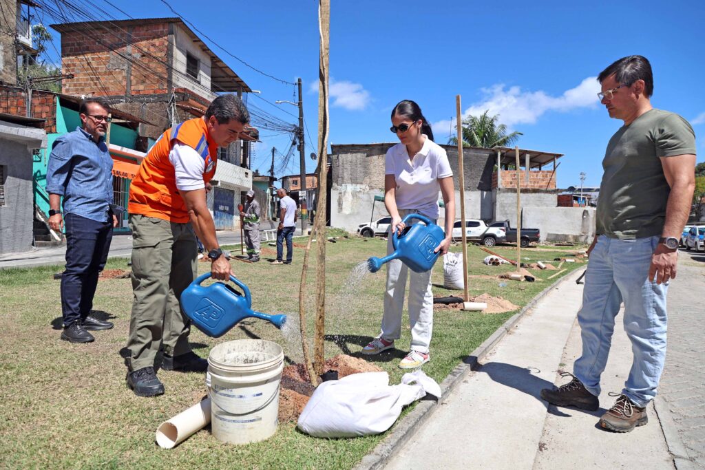 Prefeitura encerra Operação Plantio Chuva com mais de 10 mil mudas em Salvador – Prefeitura Municipal de Salvador