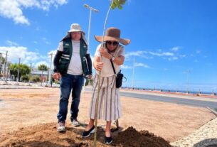 Prefeitura planta 22 árvores na orla de Ondina a pedido de moradores – Prefeitura Municipal de Salvador