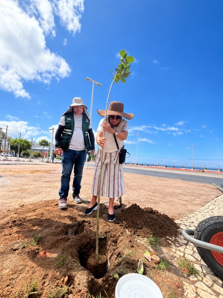 Prefeitura planta 22 árvores na orla de Ondina a pedido de moradores – Prefeitura Municipal de Salvador