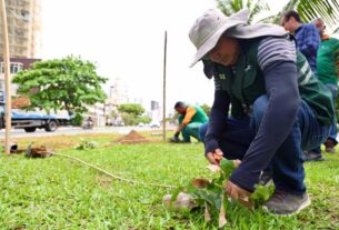 Prefeitura realiza plantio de 100 mudas na Avenida Magalhães Neto – Prefeitura Municipal de Salvador