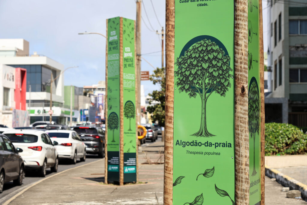 Prefeitura reforça ações e monitoramento do Corredor Verde da Pituba – Prefeitura Municipal de Salvador