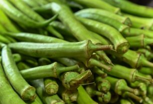 Procura por ingredientes para caruru de Cosme e Damião já começa nas feiras e mercados populares em Salvador – Prefeitura Municipal de Salvador