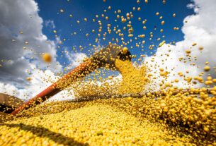 Produção agrícola brasileira superou R$ 927 bilhões em 2025