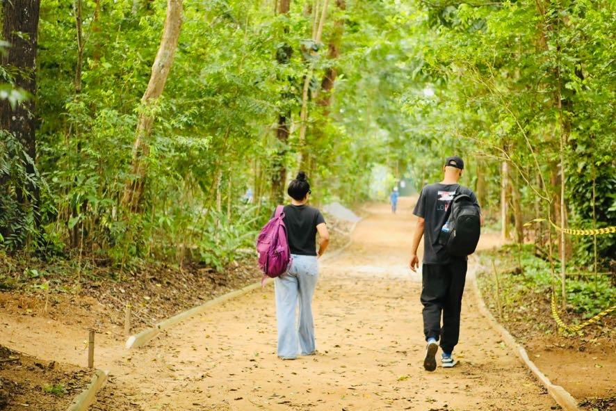 Salvador é reconhecida internacionalmente por revitalização do Jardim Botânico Municipal – Prefeitura Municipal de Salvador
