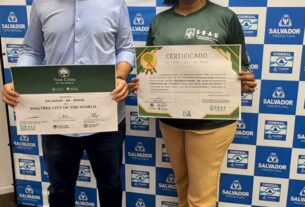 Salvador recebe reconhecimentos nacional e internacional por ações na área de arborização urbana – Prefeitura Municipal de Salvador