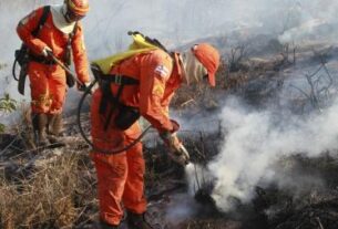 Bombeiros completam 100 dias de operação contra incêndios florestais com redução de 29% nos focos de calor | SECOM